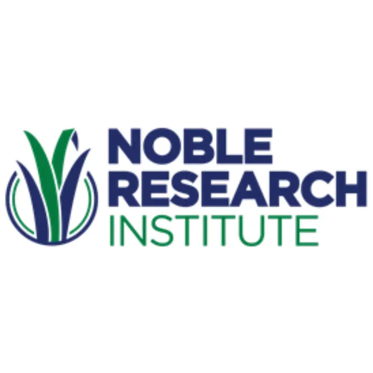 noble temp