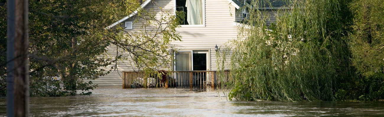 Green Genie is the BEST in Flood Damage Restoration Services from Mold to Water Damage. Proudly serving Buffalo, Niagara Falls and West, NY Green Genie 📍 575 Ludwig Ave Suite 200, Cheektowaga, NY 14227 | https://greengeniewny.com/