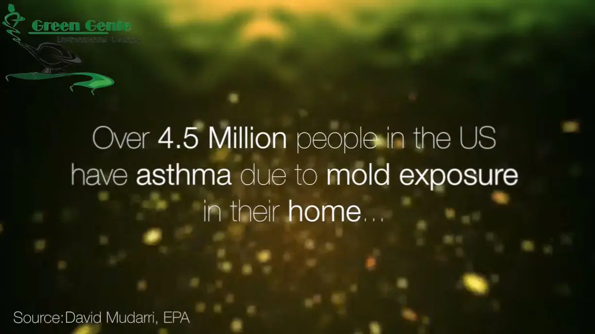 Mold Video Overlay