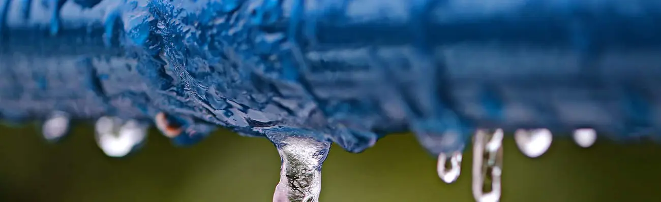 A burst pipe created an unwanted lake in your home or business? Green Genie Environmental offers quick, concise service. We’re available 24/7. Green Genie 📍 575 Ludwig Ave Suite 200, Cheektowaga, NY 14227 | https://greengeniewny.com/