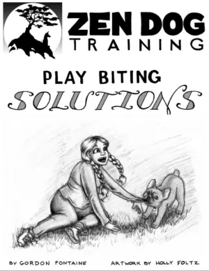 Play Biting Solutions