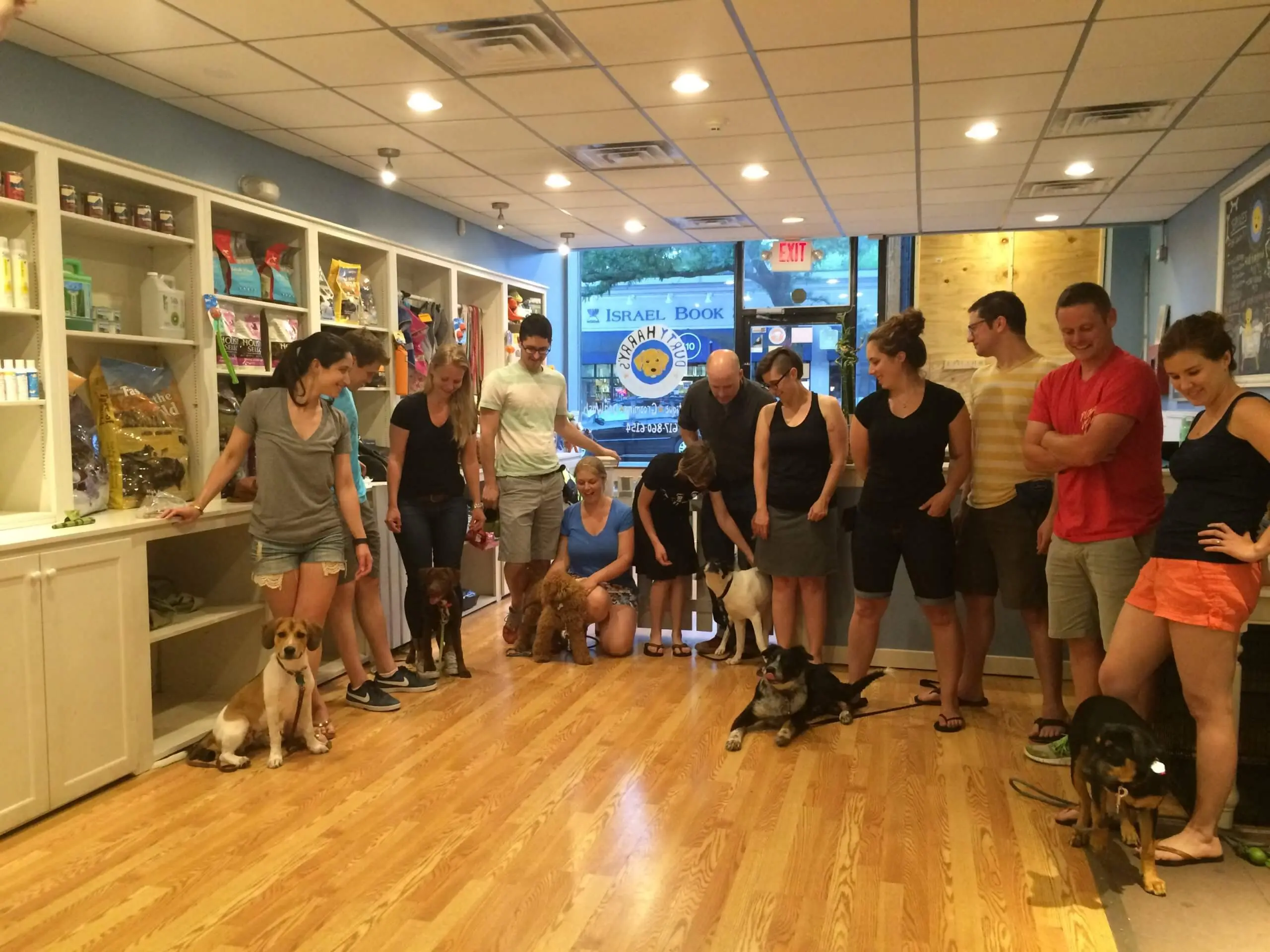 Puppy Class Feedback