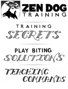 Zen dog training comic bundle