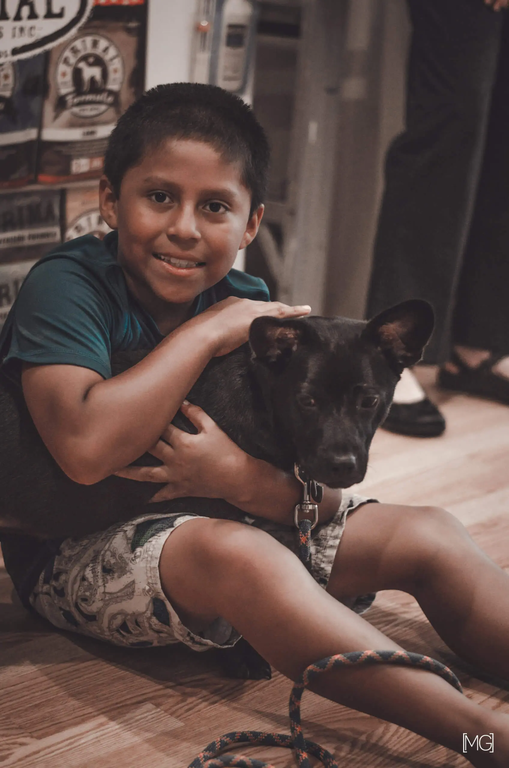 Puppy Class Participant Feedback