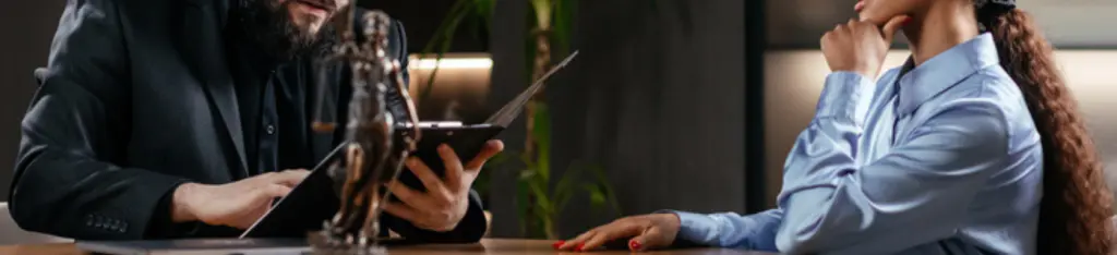 Lawyer consulting a business client