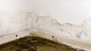 How Does the Water Damage Restoration Process Work
