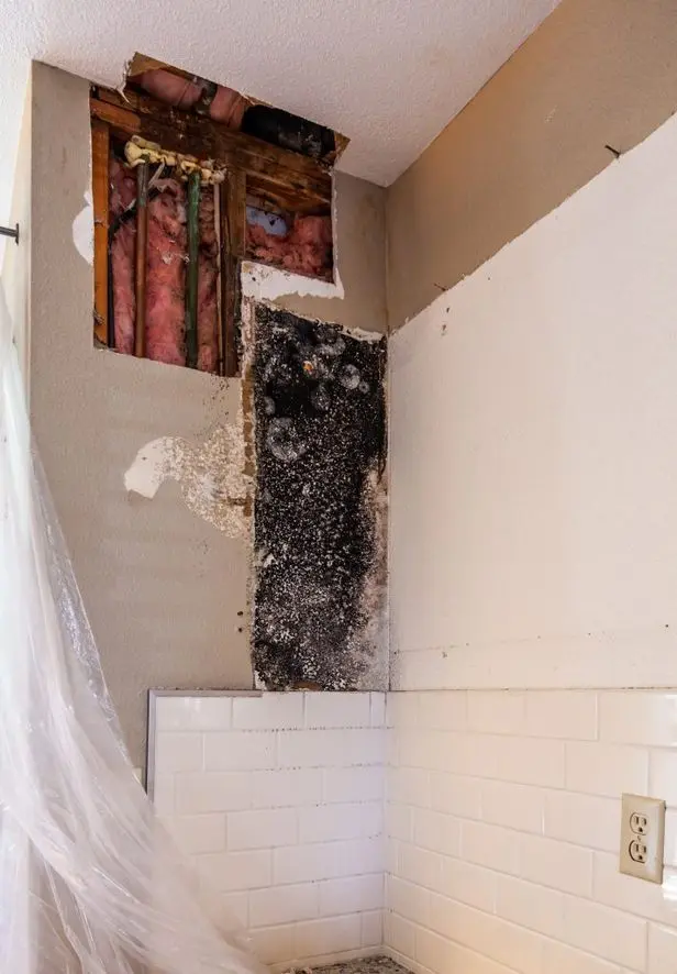 mold behind kitchen cabinets