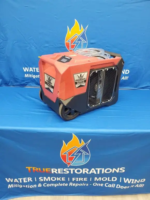 XL Dehu (Phoenix XL)
