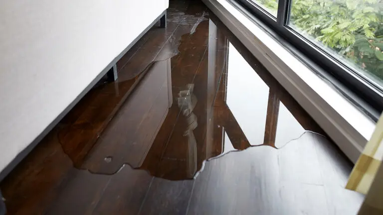 Water Leak and Damage in Home