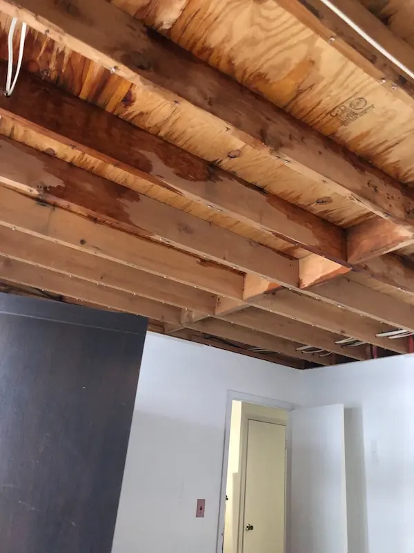 Wet Subfloor & floor joists