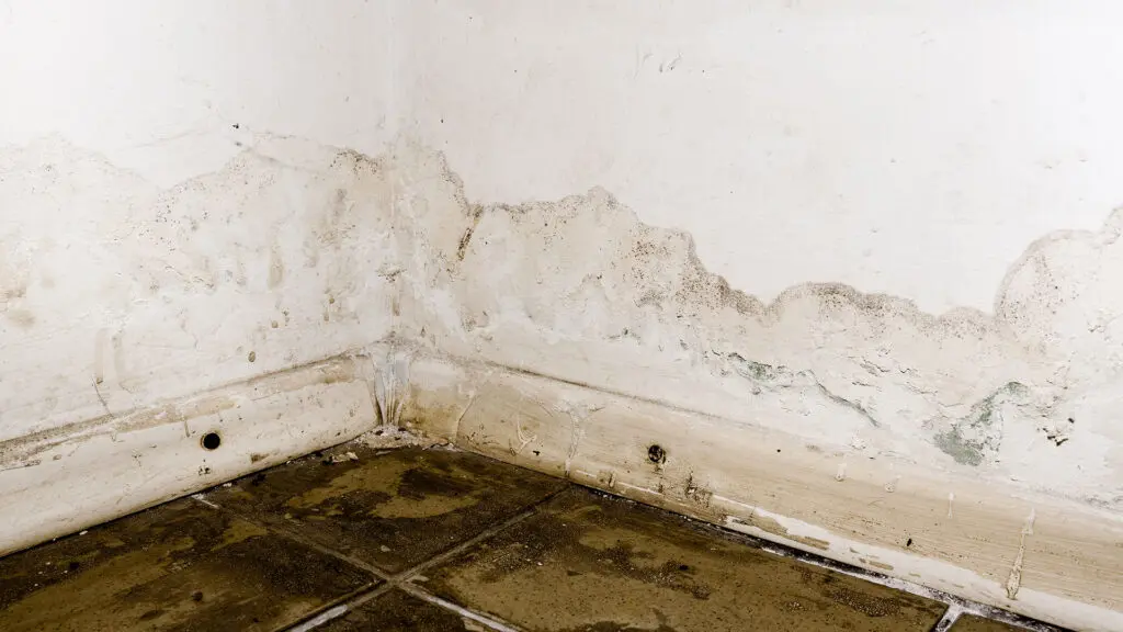 Water Damaged Wall and Floor with Mold