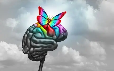 Pain and the Brain