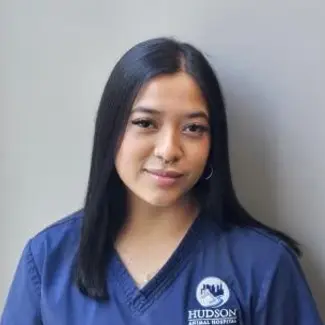 A professional portrait of Zelma Masapuncho, Veterinary Assistant, with long dark hair and a blue Hudson Animal Hospital scrub top.