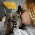 Blonde woman affectionately kissing a French Bulldog, highlighting proper care and bonding with a deaf or blind pet at home.