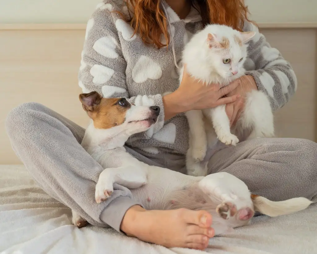 Pet Parenting