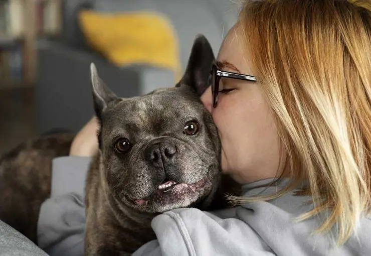 Blonde woman affectionately kissing a French Bulldog, highlighting proper care and bonding with a deaf or blind pet at home.