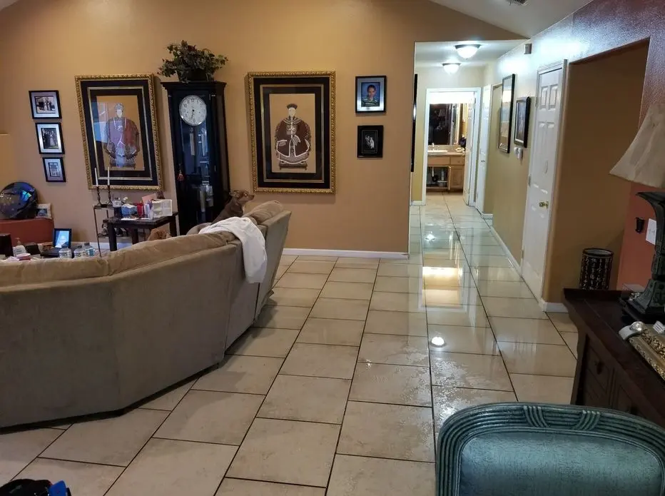 water mitigation