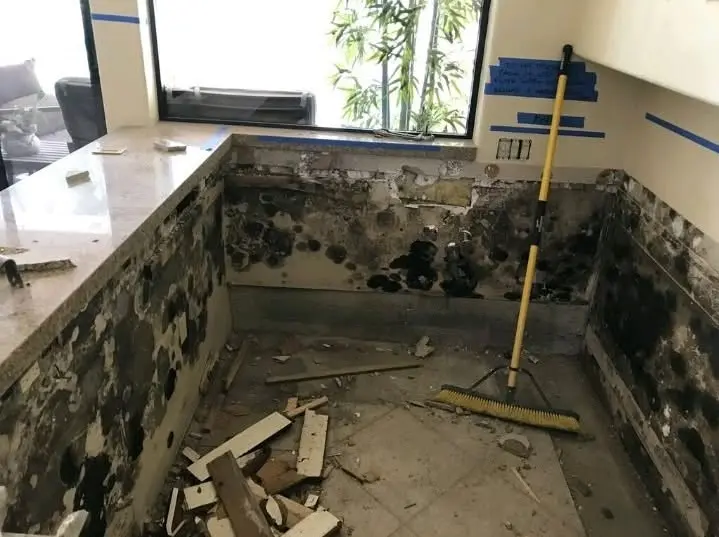 What Does Mold Smell Like?
