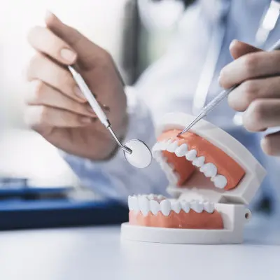 Denture model showing full set of replacement teeth