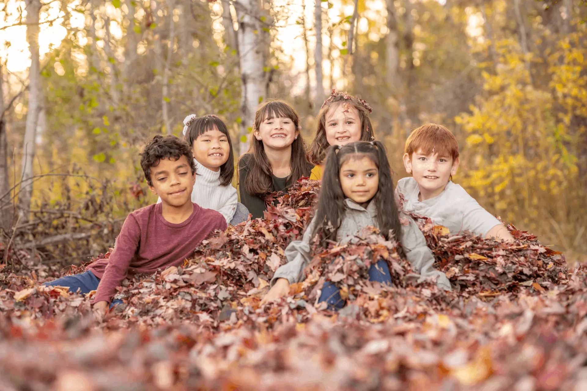 Fall Allergy Illness