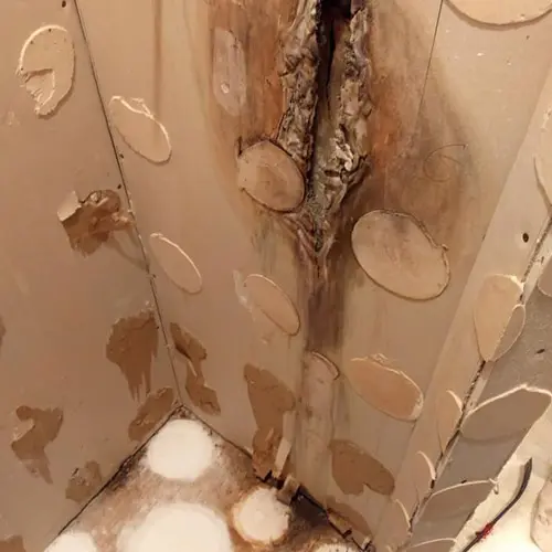 Water Damage