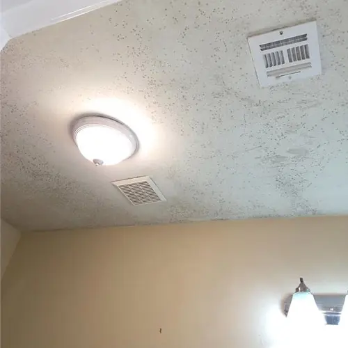 Ceiling Damage
