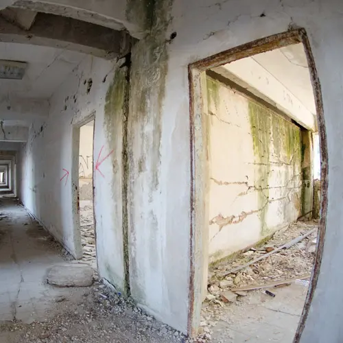 Moldy Wall