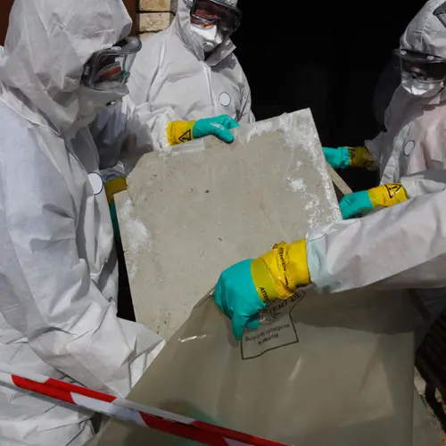 Disposing of Mold