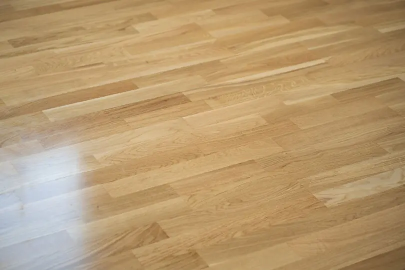 Shiny freshly mopped hardwood floor