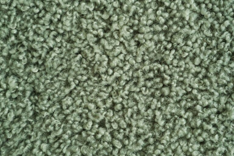 Wool Carpet