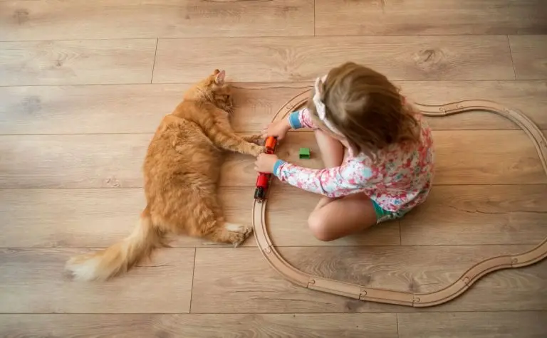 Warm floor for child and domestic animal