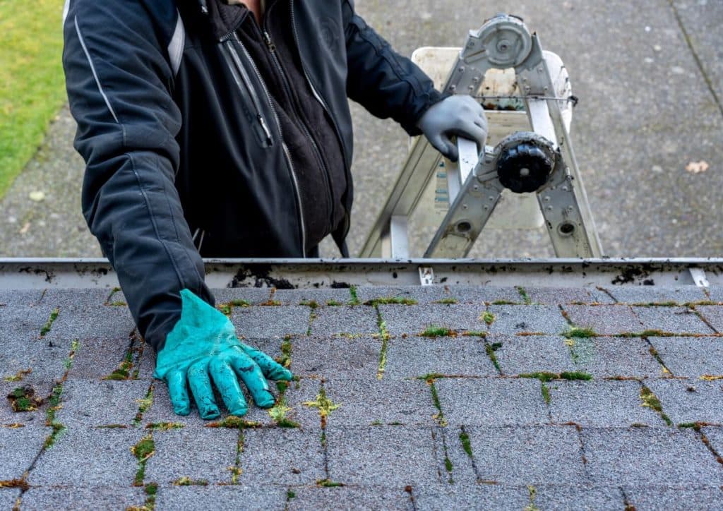 guy using mop to clean shingles roof