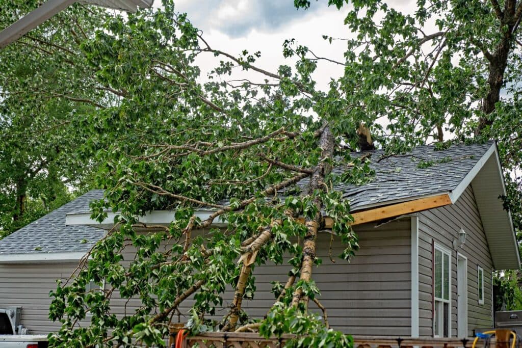 roofing insurance Storm damage to shingles roof tree on top of house
