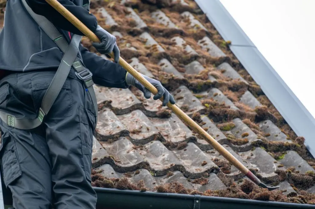 roof moss removal guy using tool to remove algae