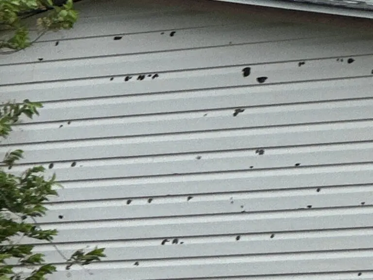 what does hail damage look like on siding holes on cream color siding