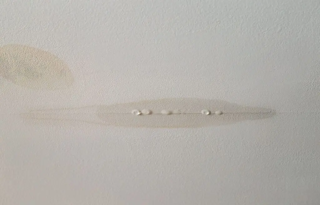 does homeowners insurance cover roof leaks water drops in ceiling