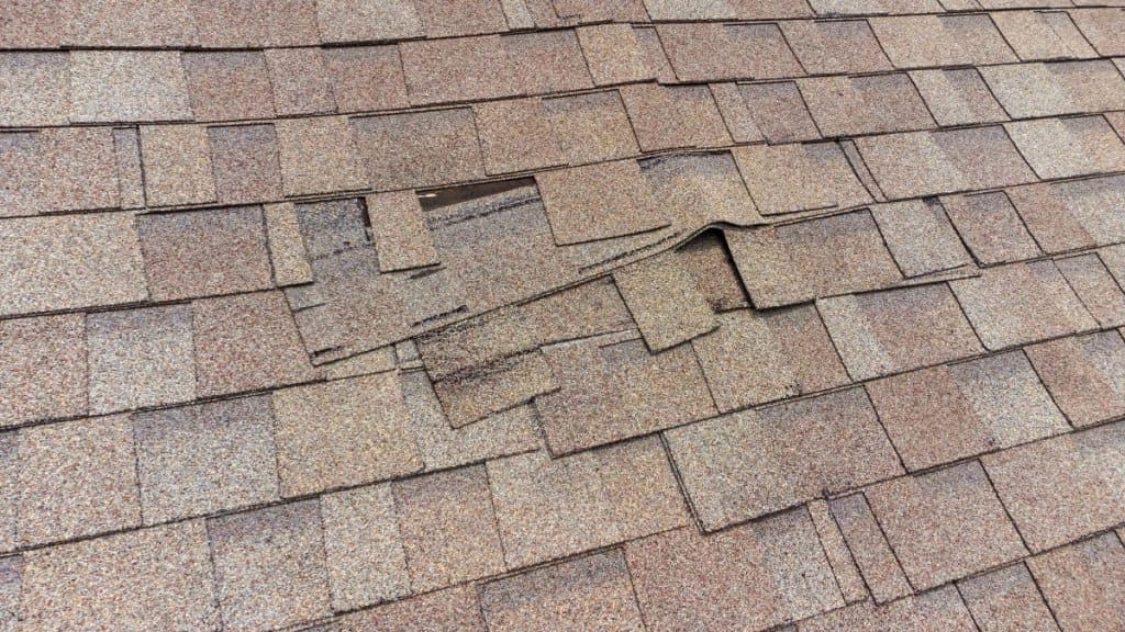 damaged roof shingles in need of repair