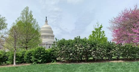 Washington DC in the spring