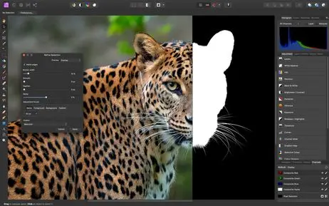 Affinity Photo 1.7 screenshot showing fine selection