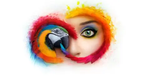 Adobe announcement graphic