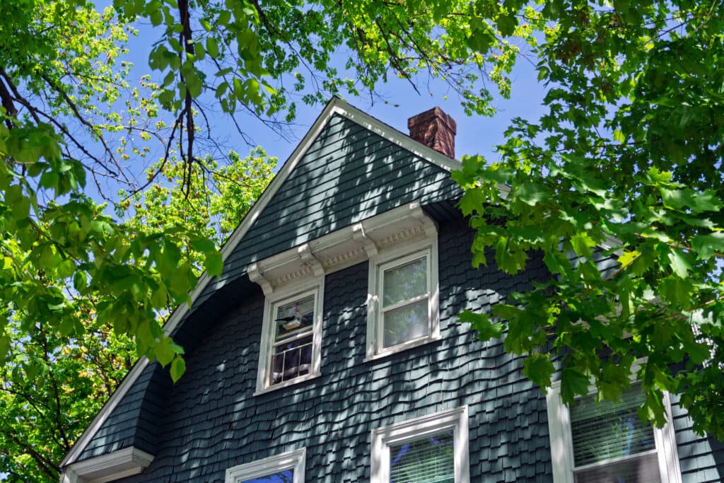 tree shade on siding
