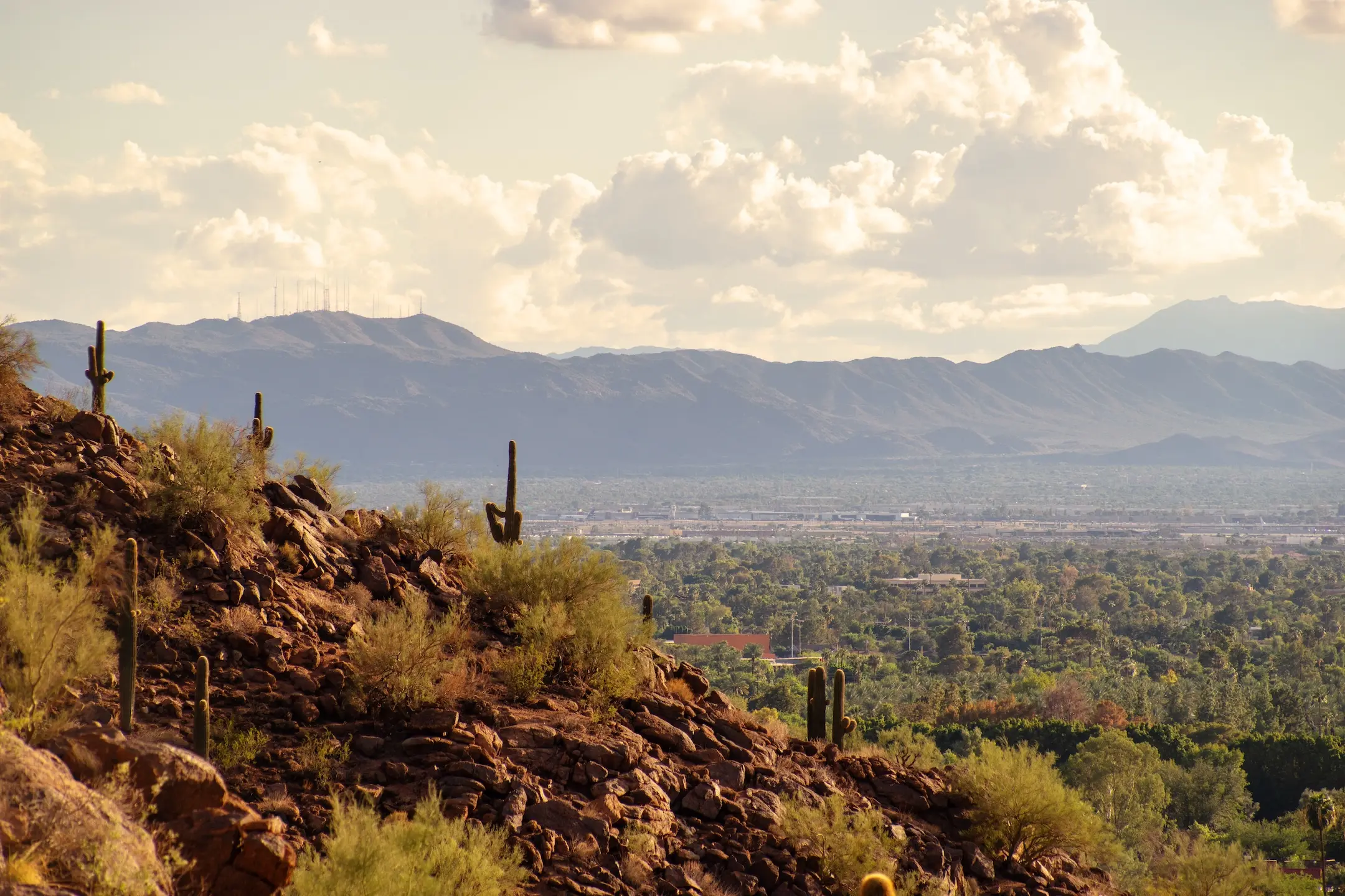 new mexico landscape