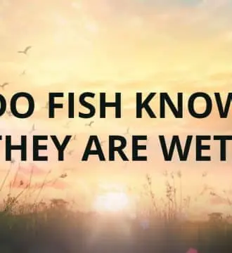 Do Fish Know They Are Wet?