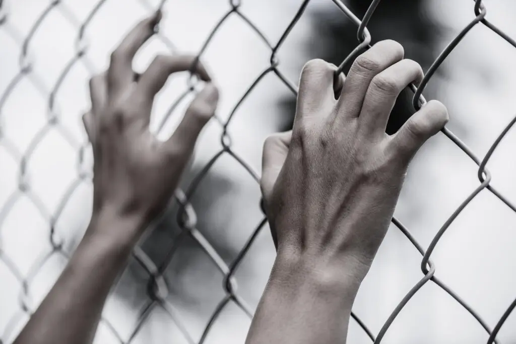 Woman's hands hold a chain link fence