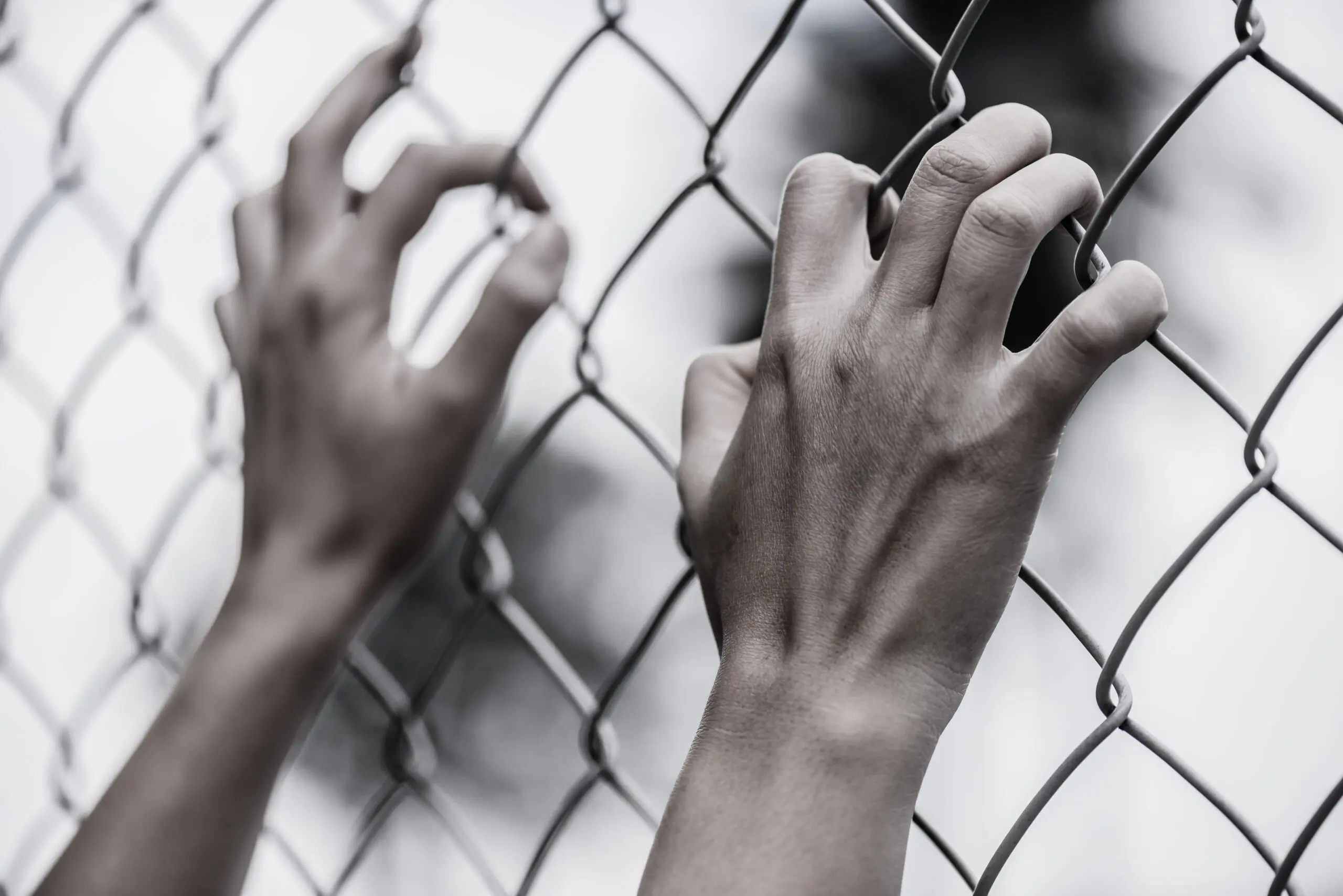 Woman's hands hold a chain link fence