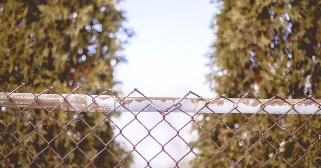fence
