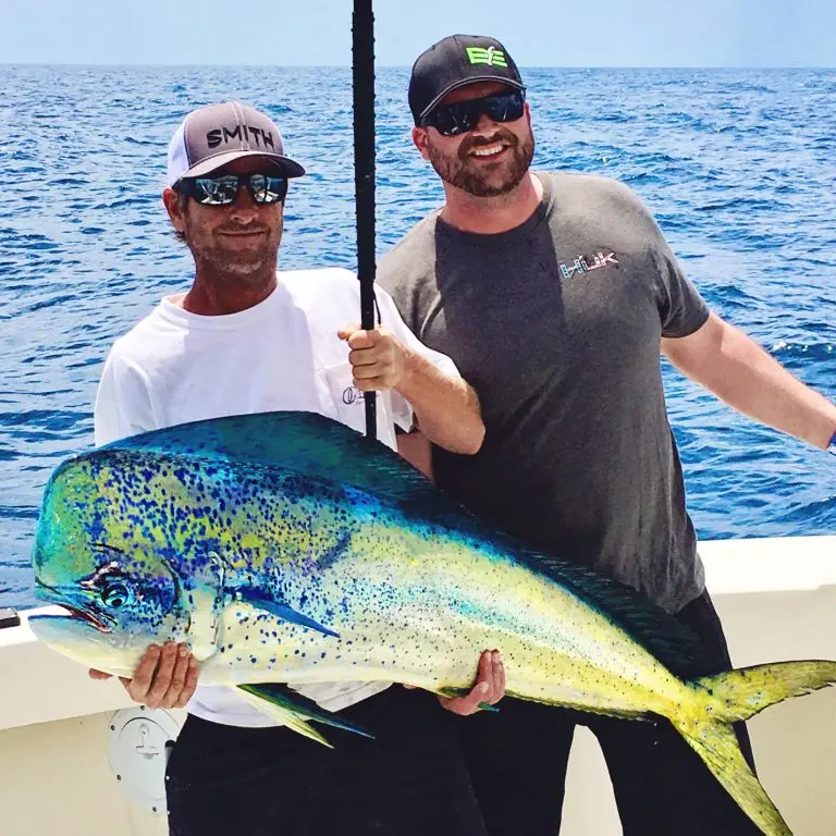 mahi with tons of color