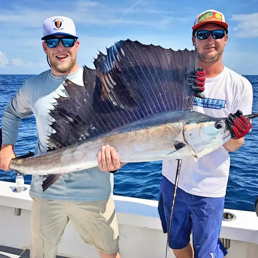 cocoa beach deep sea fishing charters sailfish