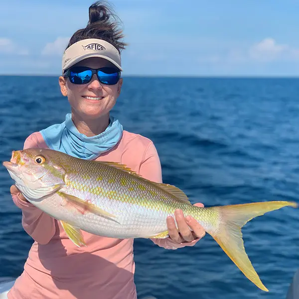 Yellowtail Snapper