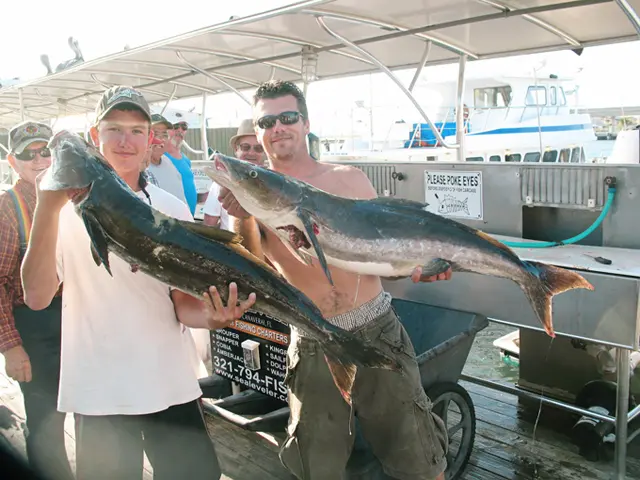 couple_nice_cobia